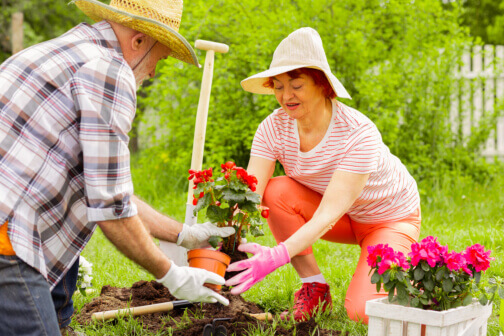 Simple and Fun Activities for Seniors  